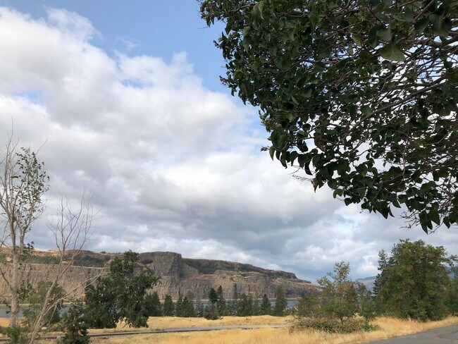 Building Photo - 2 Bedroom 1 Bathroom with River Views