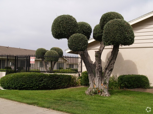 Building Photo - O.C. Apartments