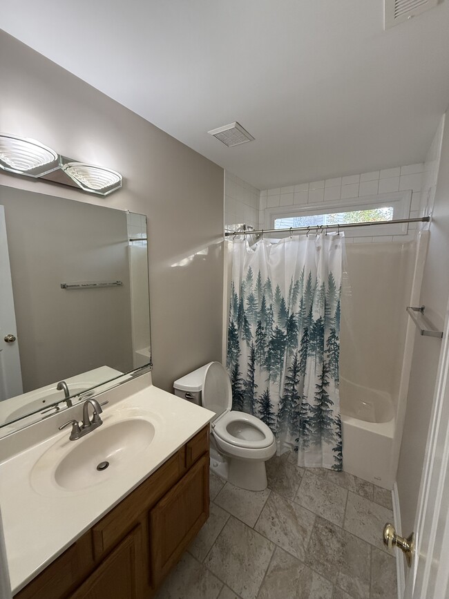 upstairs bathroom - 110 Sudbury Ln