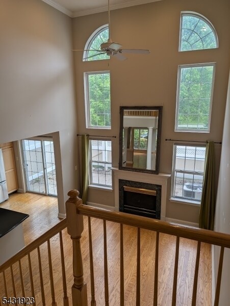 Building Photo - 18 Dorchester Dr