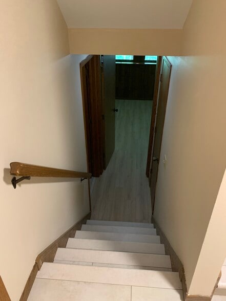 Stairs Lower Level - 317 River St