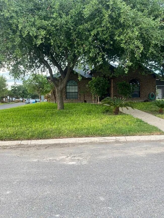 Building Photo - 3501 Viento St