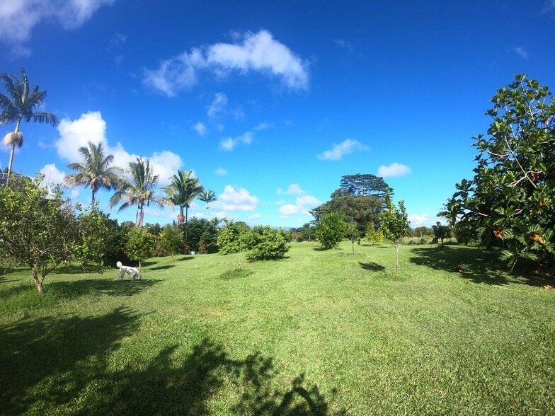 Building Photo - 995 Ainalako Rd