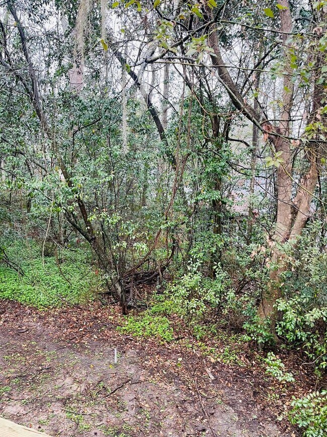 Building Photo - Quiet and provate location near TMH