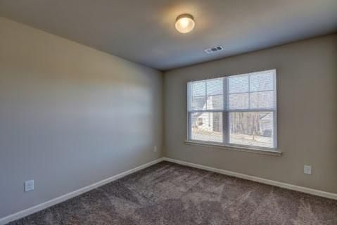 Building Photo - 3531 Silver Wood Walk