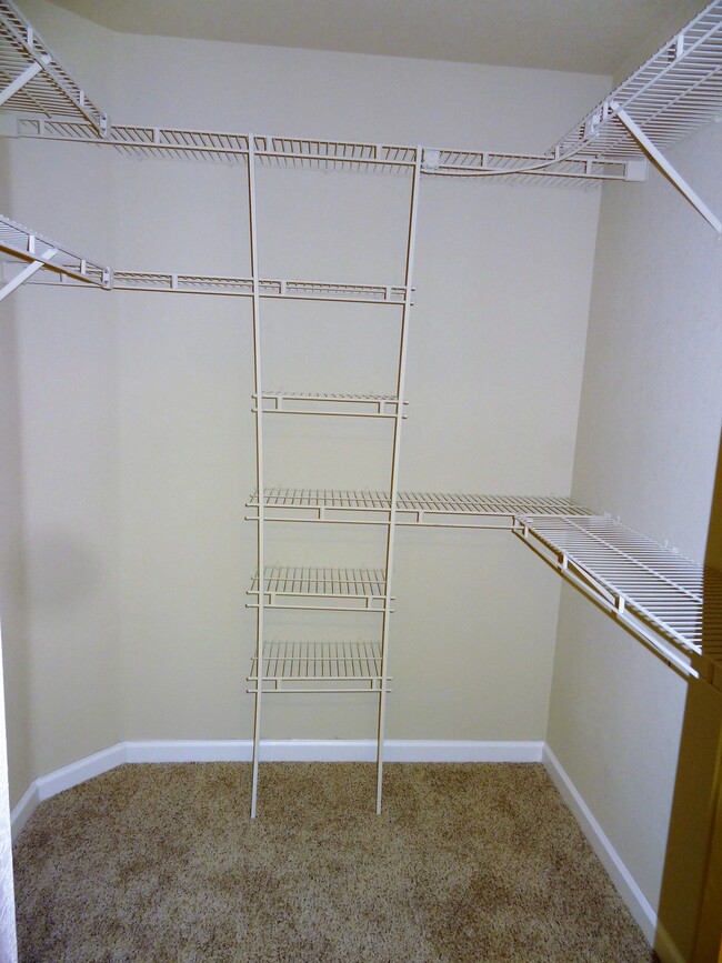 Building Photo - 161 Lynx Ct