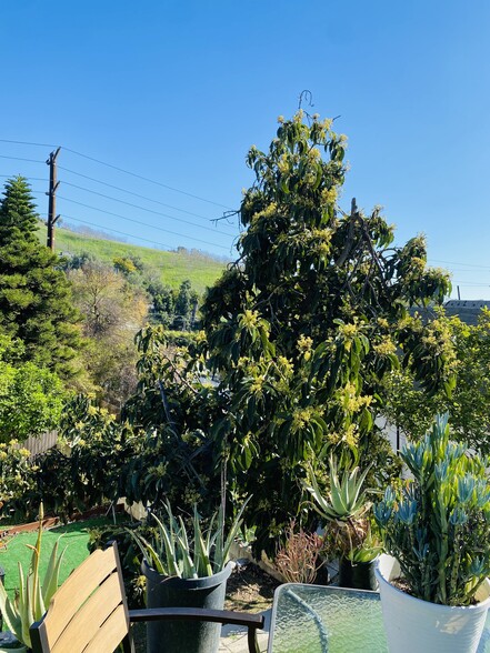 Building Photo - 2715 Alta St