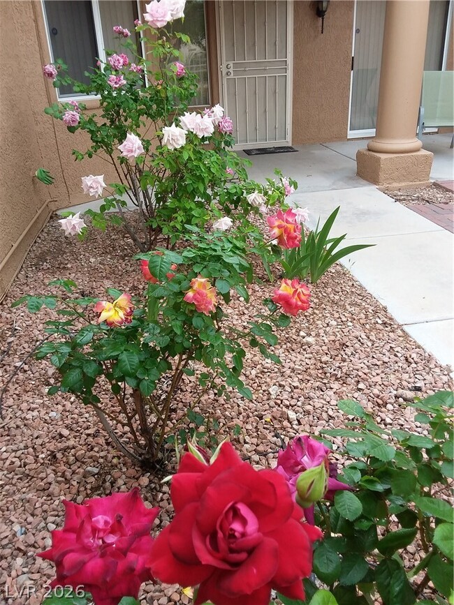 Building Photo - 2741 Sungold Dr