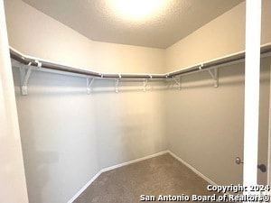 Building Photo - 2966 Daisy Meadow