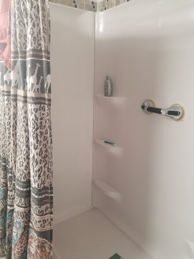walk in shower - 30531 Francis St