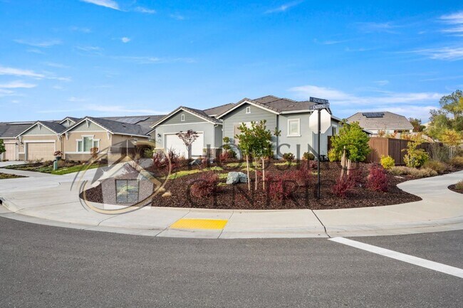Building Photo - STUNNING Single Story Home with a Resort Style Backyard!