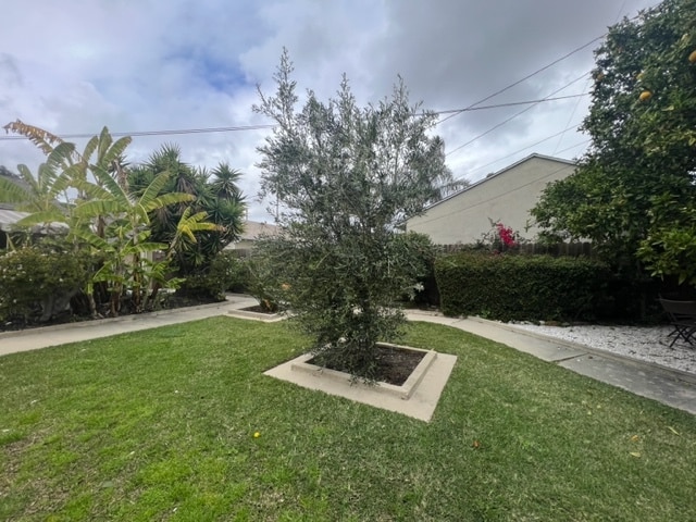 Landscaping - 2734 Martha Ave