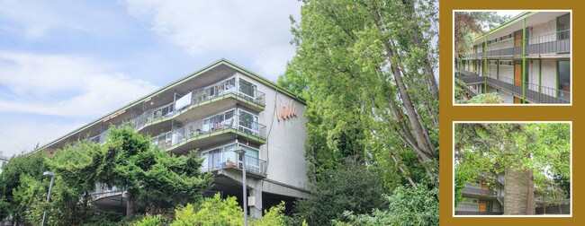 Building Photo - The Villa