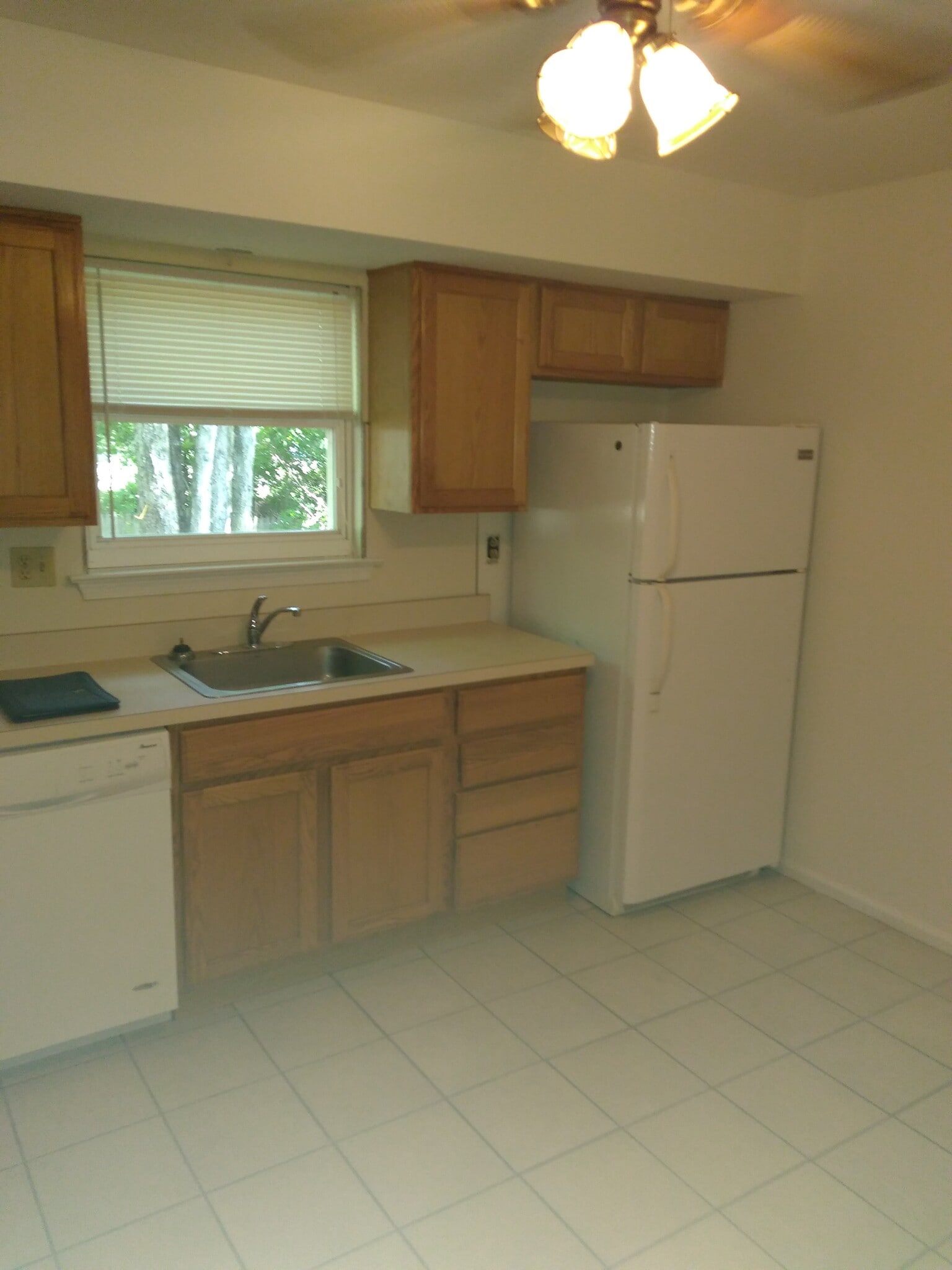 Kitchen - 325 Olive Ave