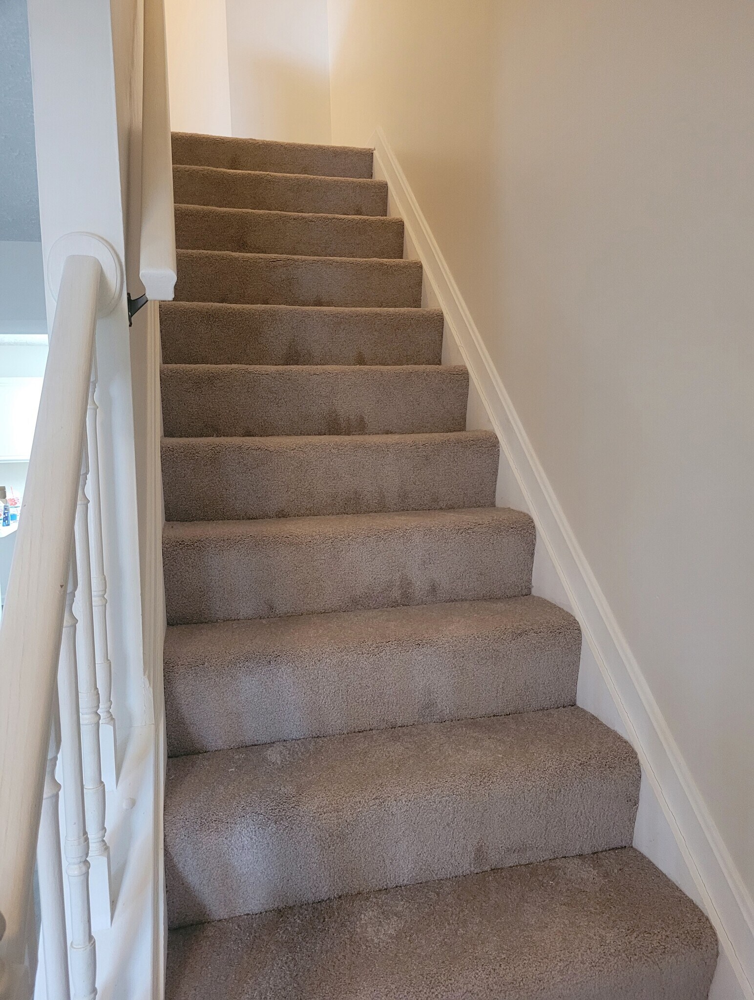 Building Photo - 1252 Castine Ct