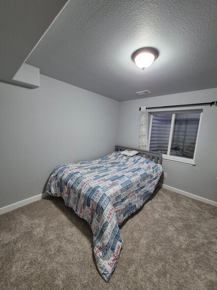 Bedroom 4 - basement - 4441 S Johnson Ct