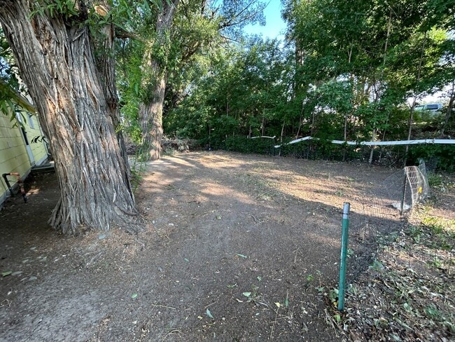 Building Photo - Large 2 Bed 1 Bath House with Fenced Yard and Washer Dryer Hookups