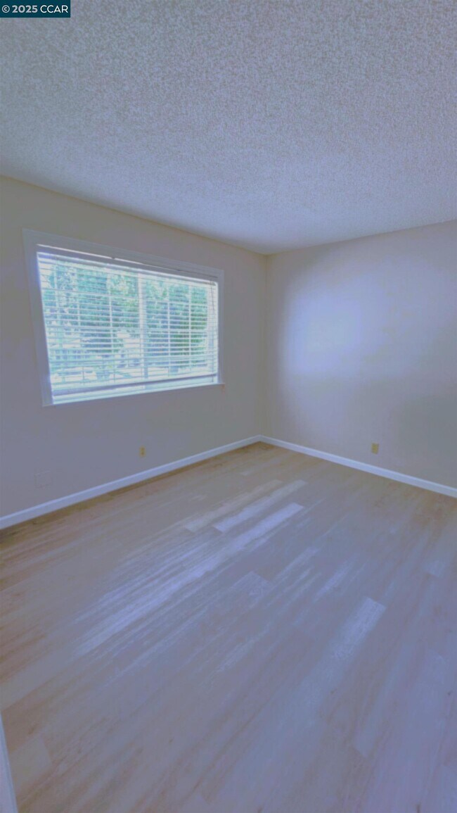 Building Photo - 1446 Del Rio Cir