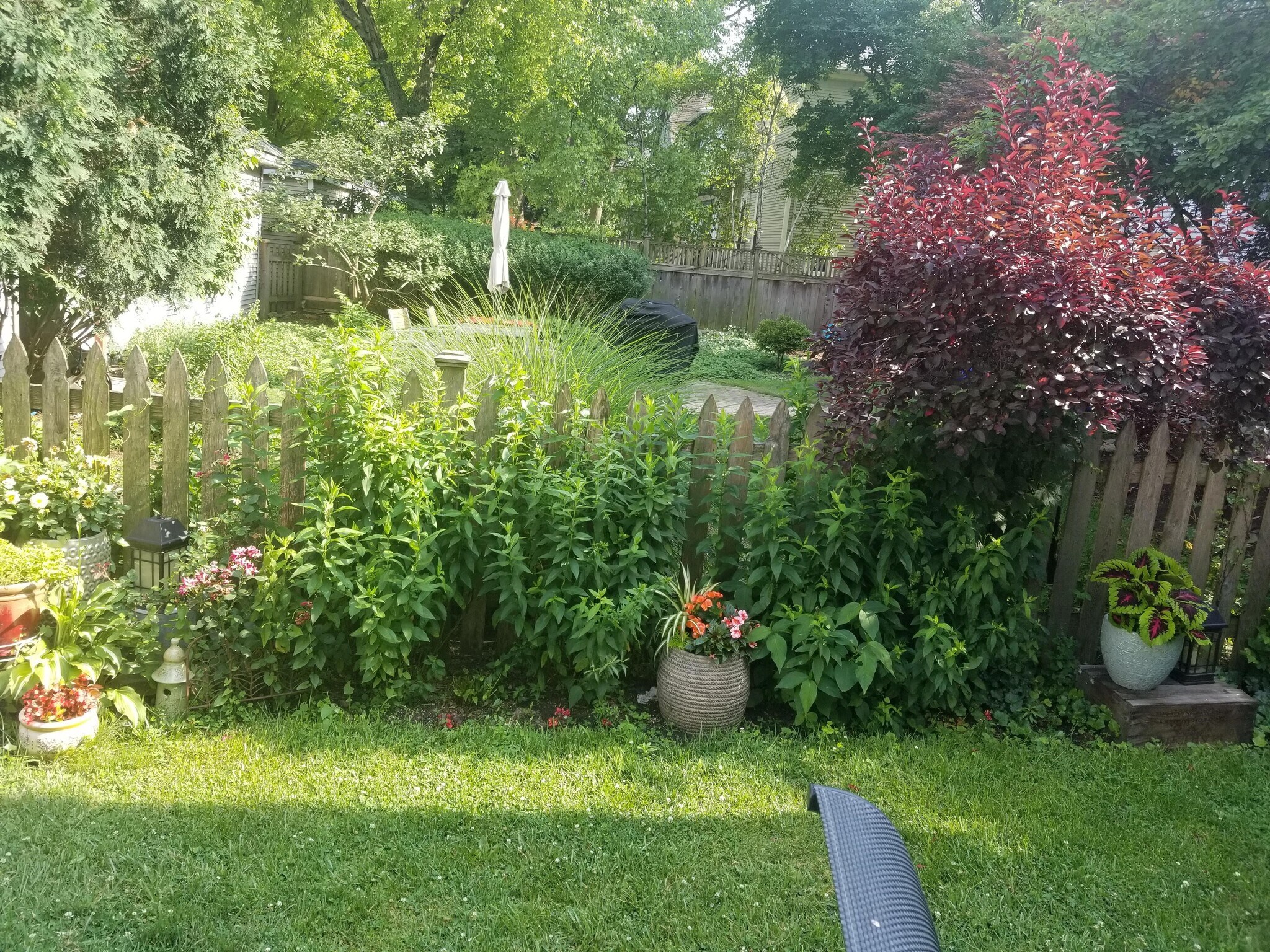 Backyard - 316 S Grove Ave