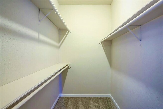 Building Photo - 2255 Braeswood Park Dr