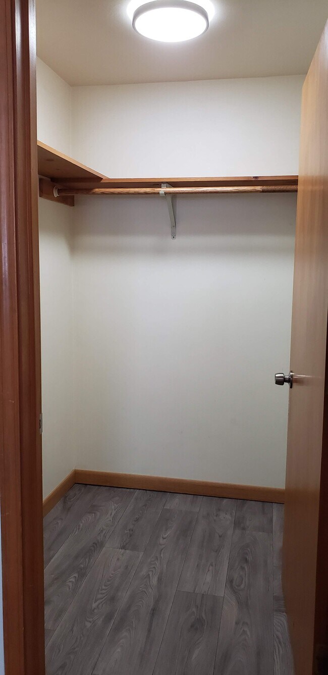 Large walk-in closet across from Main BR - 2340 S Ridge Rd