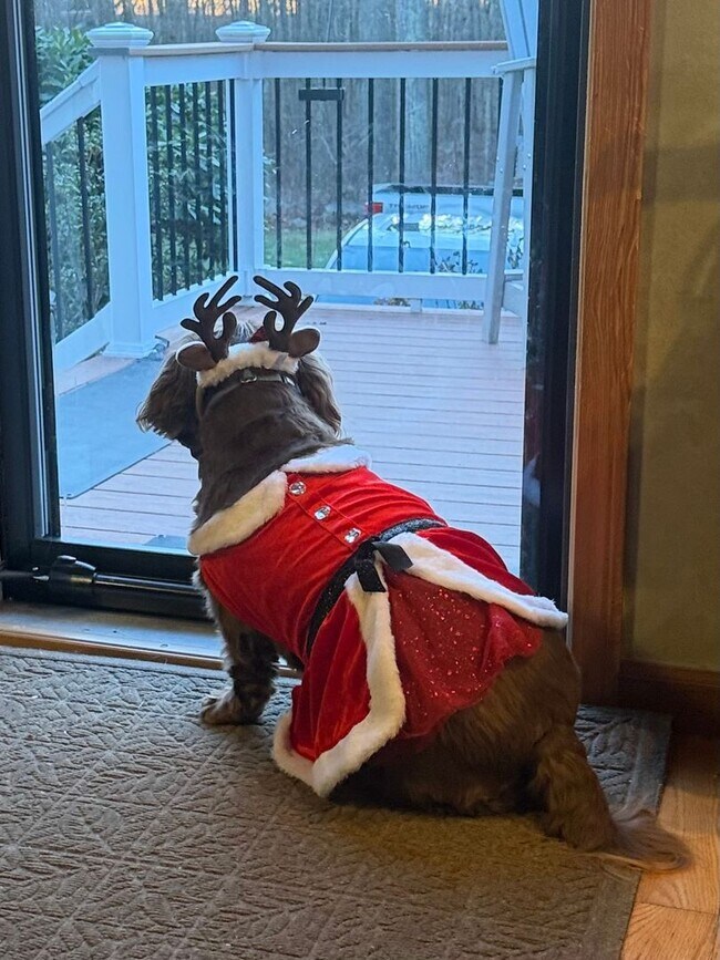 Building Photo - Free application fees until Friday is our gift to you!