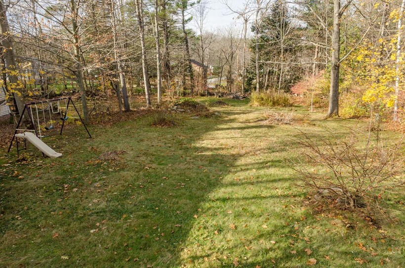 back yard - 26 Emerson St