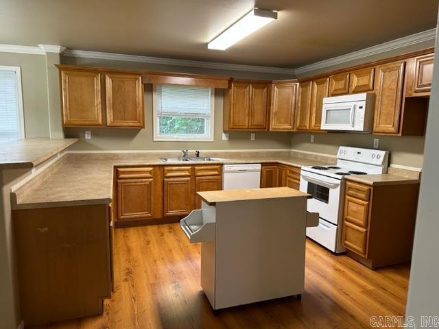 Building Photo - 586 Wisteria Dr
