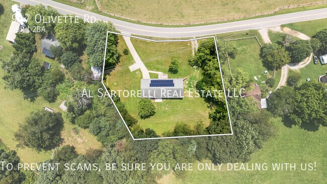 Building Photo - 917 Olivette Rd