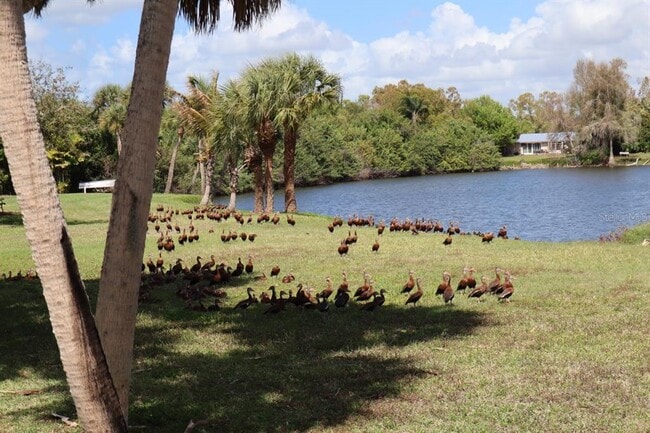 Building Photo - 880 Van Gogh Rd