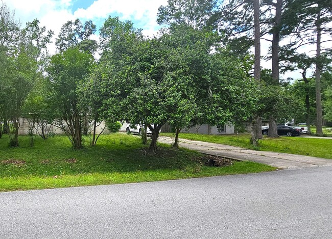 Building Photo - 3303 Roaming Woods Ln