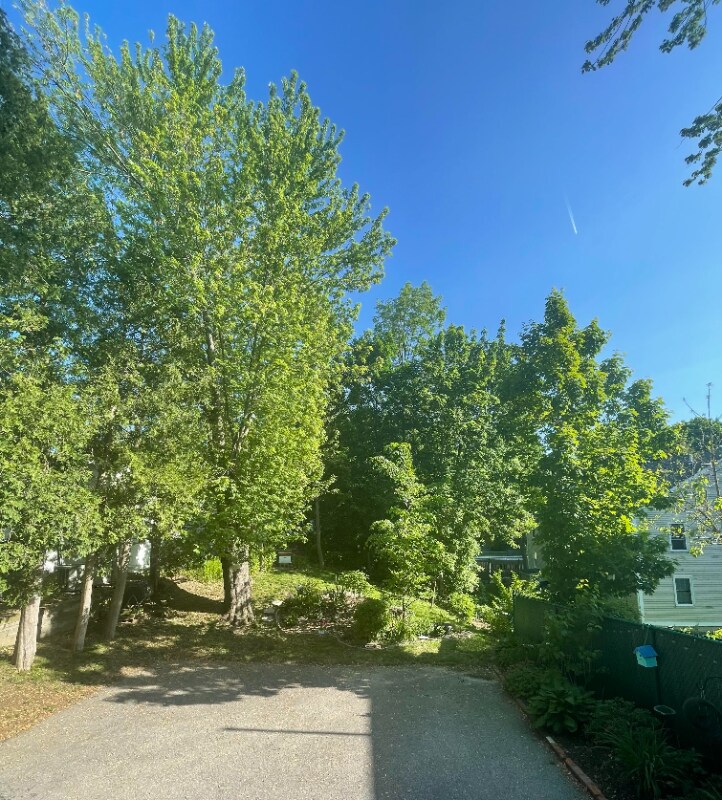 Building Photo - 2 Hough St