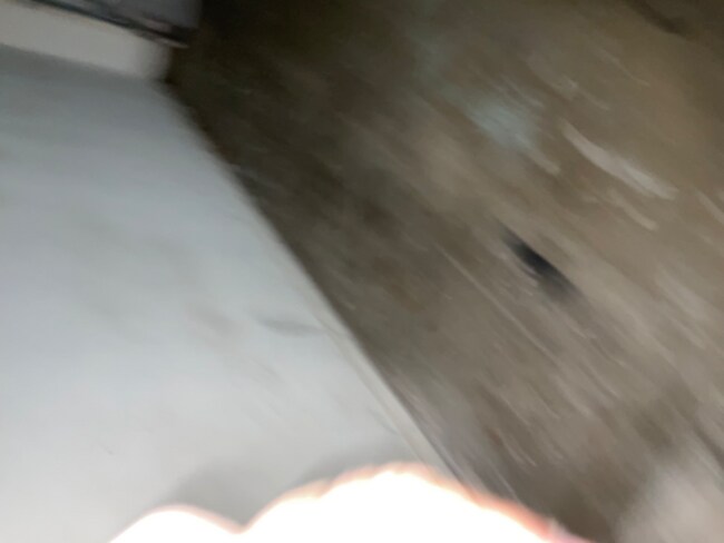 Building Photo - 5306 Langford Ln