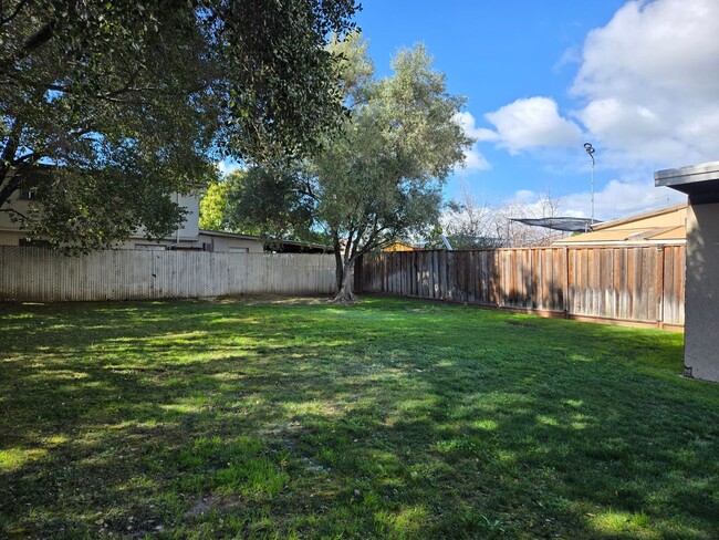 Building Photo - 3 bed/ 1 bath with HUGE yard and storage