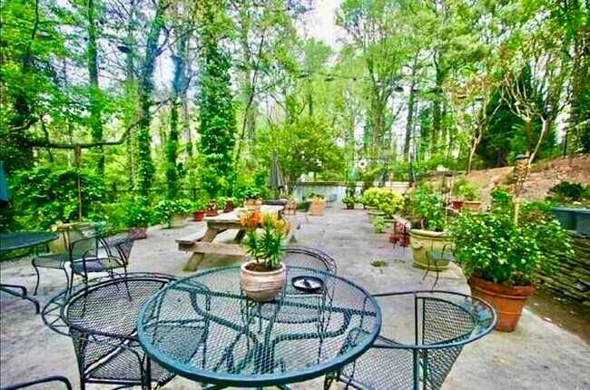 Picnic/Grilling area - 430 Lindbergh Dr NE