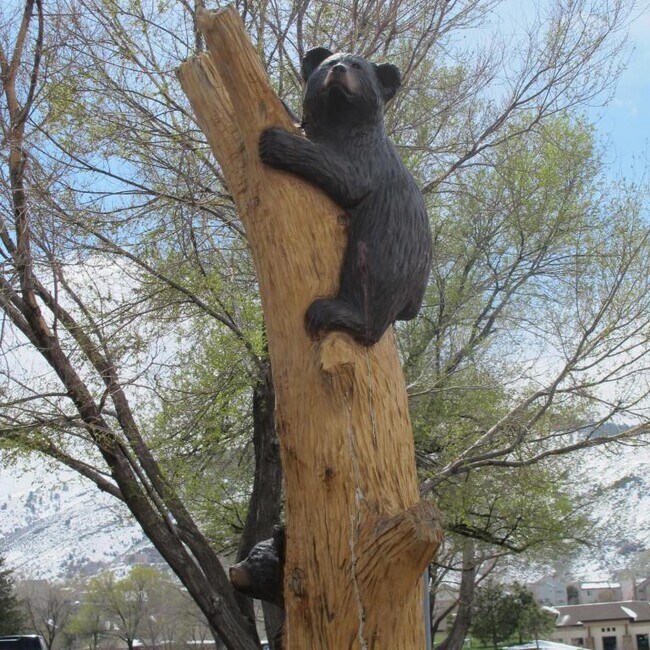 Building Photo - 1250 Golden Cir