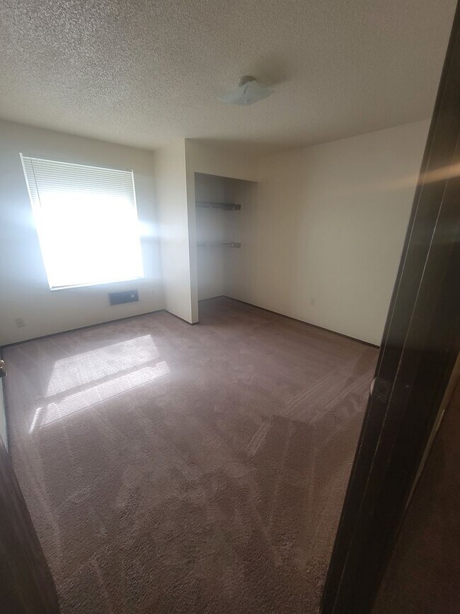 Building Photo - Cute & Cozy Spanaway Rambler