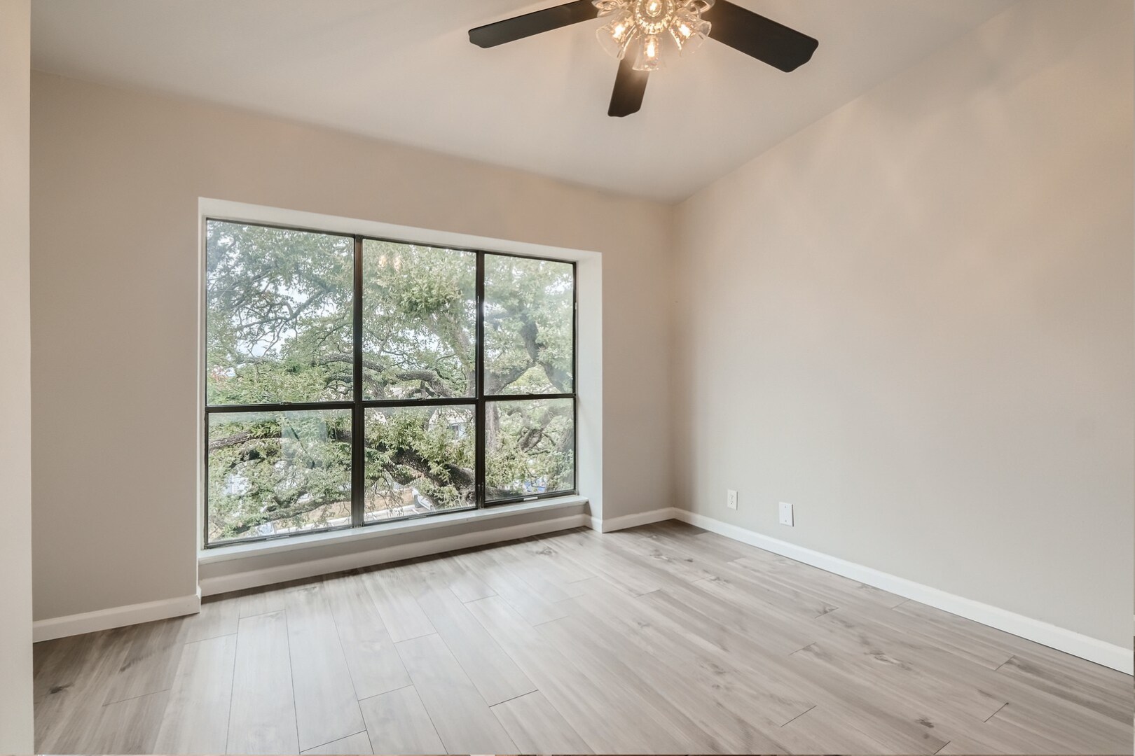 Building Photo - 8642 Fredericksburg Rd