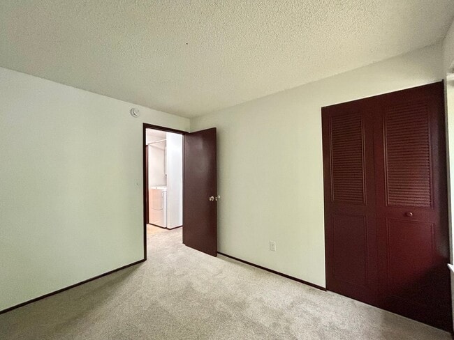 Building Photo - Bright and Open 3 Bed, 1 Bath House!