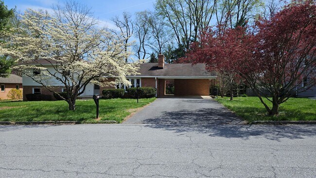 Building Photo - JUST REDUCED!  4 Bedroom Single Family Home