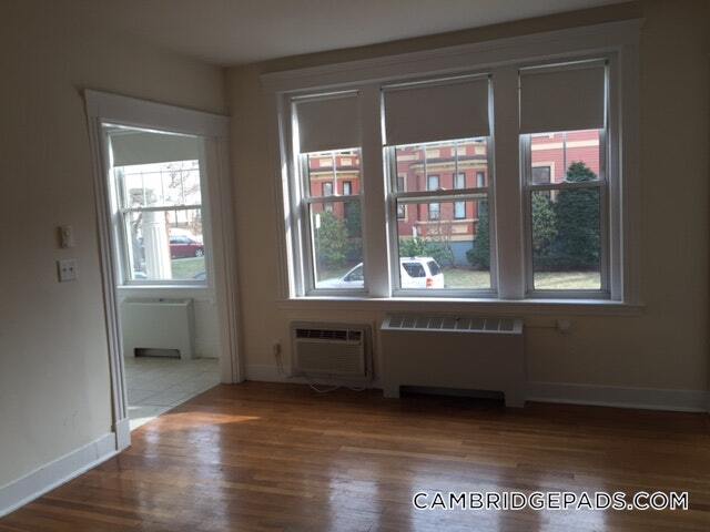 Primary Photo - 3 Langdon St
