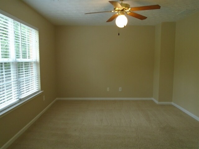 Building Photo - 204 Rankin Cir