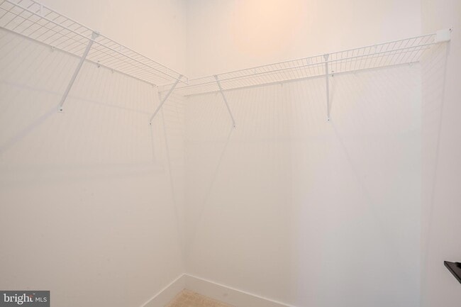 Building Photo - 8104 Donatello Dr