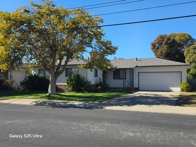 Building Photo - 3979 Mulberry Dr