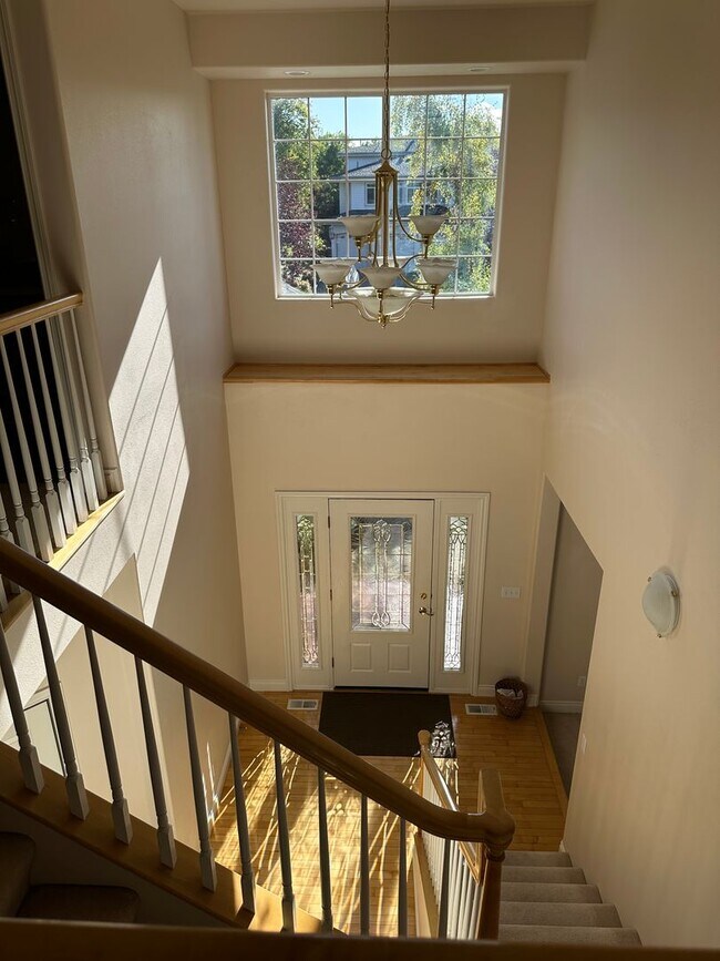 Building Photo - 4735 Potter Crest Cir