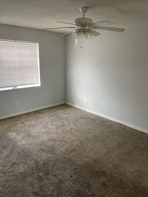 Building Photo - 355 Sunshine Dr