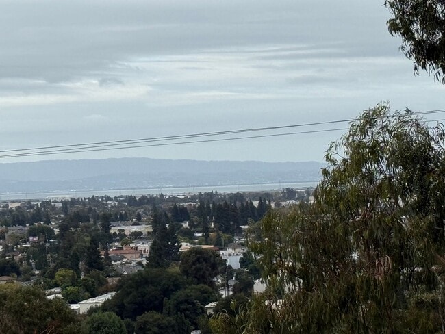 Building Photo - Hayward Condo 1 Bed/1 Bath Updated kitchen, lots of light and Bay views, dogs welcome