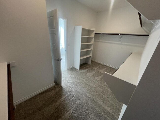 Building Photo - 2825 Overlook Brk St