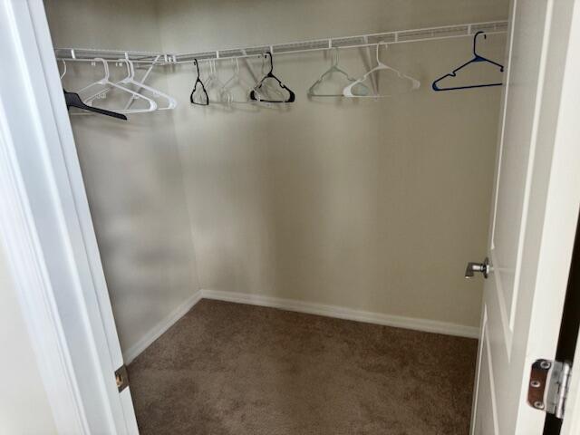 Building Photo - 8309 Catria Ln