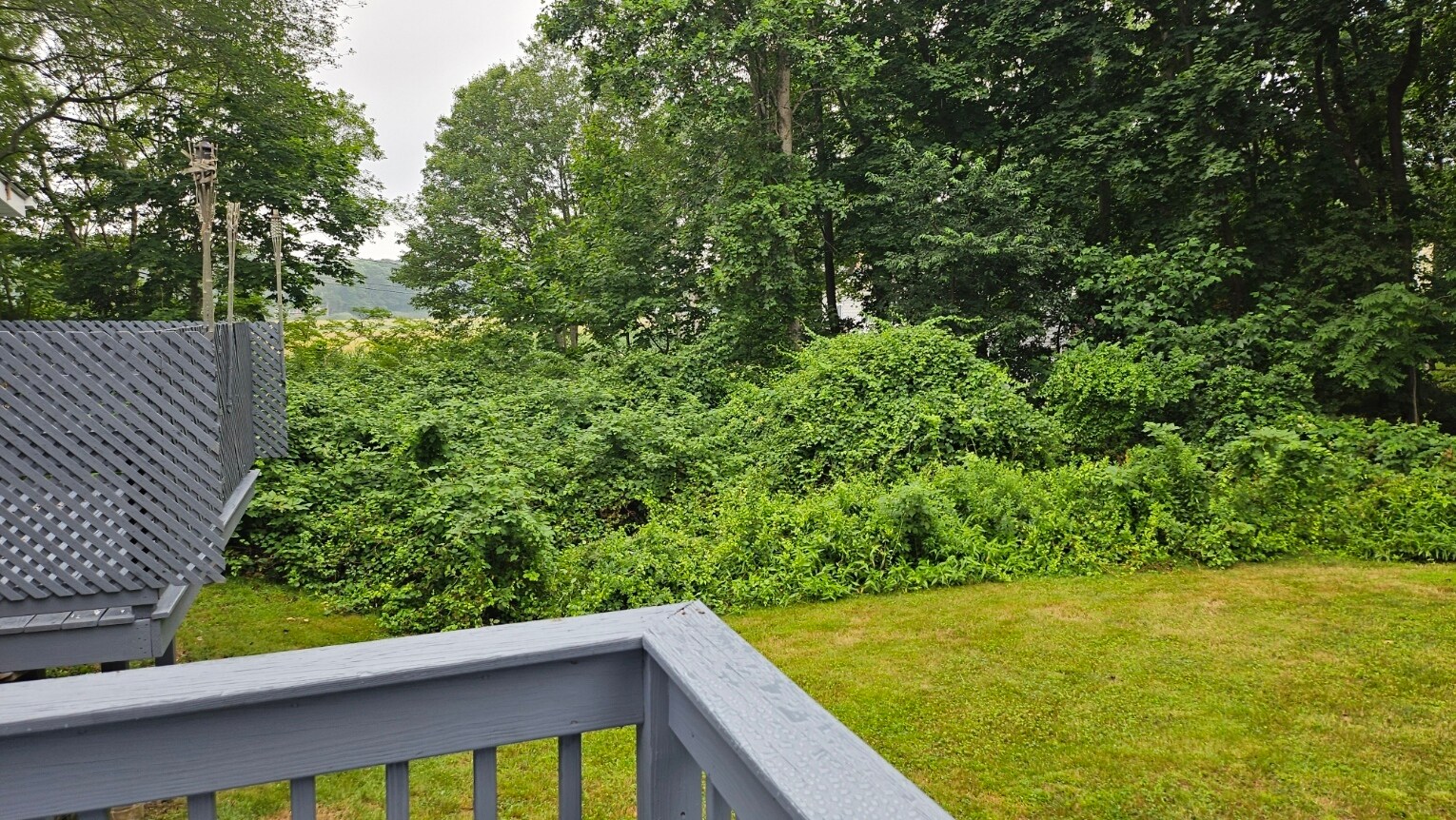 View Porch - 5 Tudor Ct W